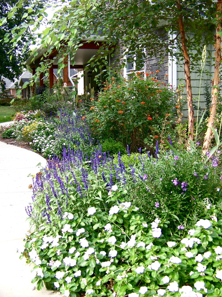 This is an example of a traditional front yard partial sun garden in Other with with flowerbed.