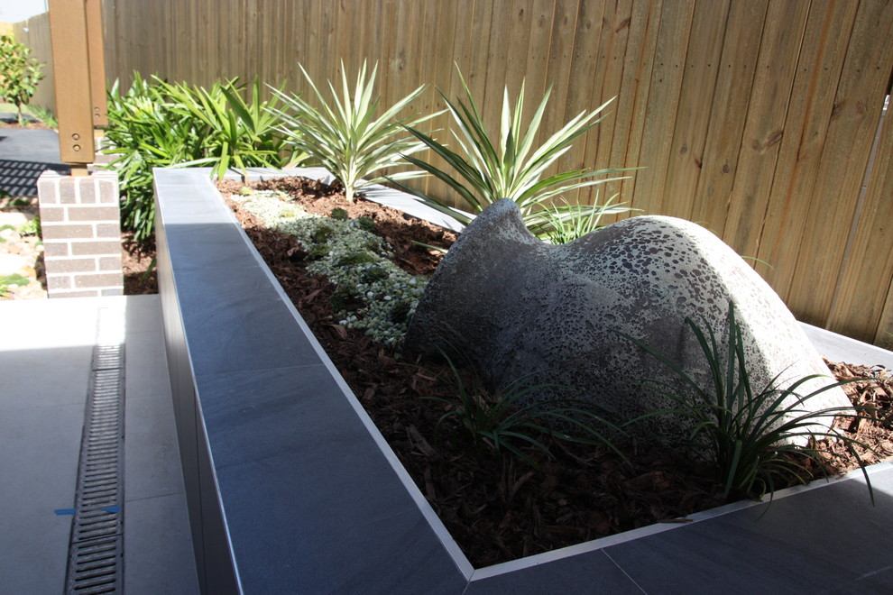 Design ideas for a contemporary garden in Brisbane.