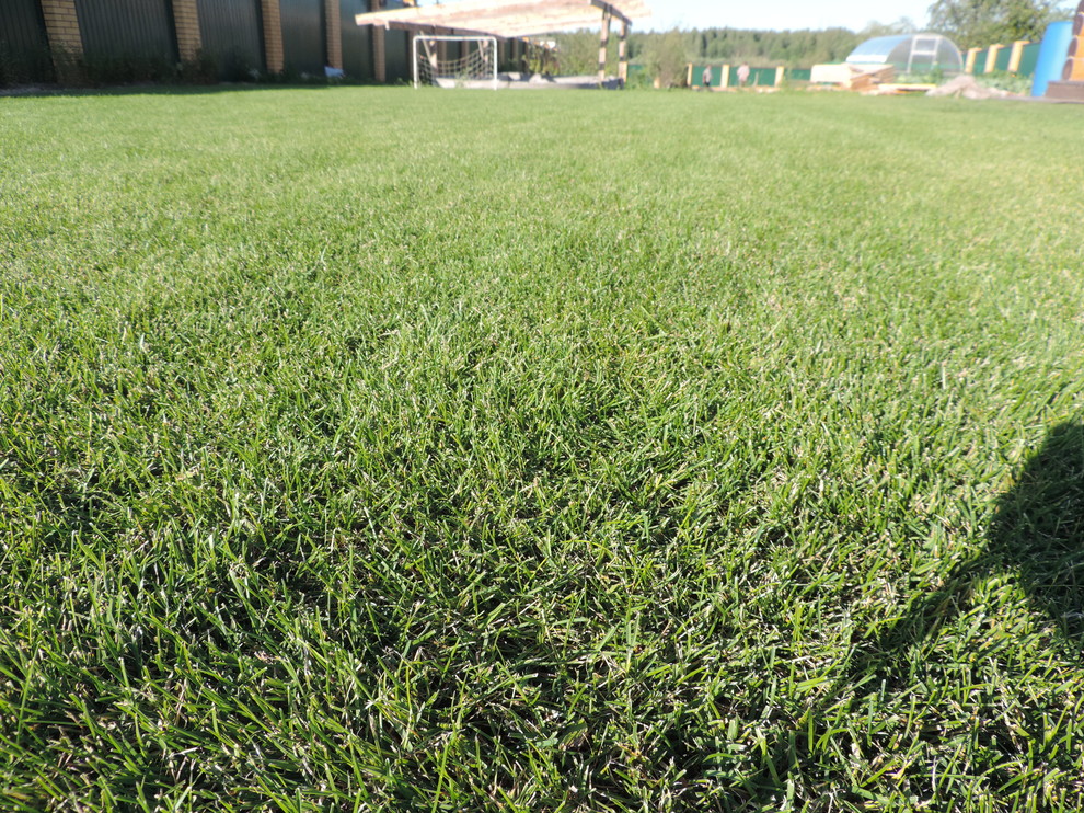 Наши работы