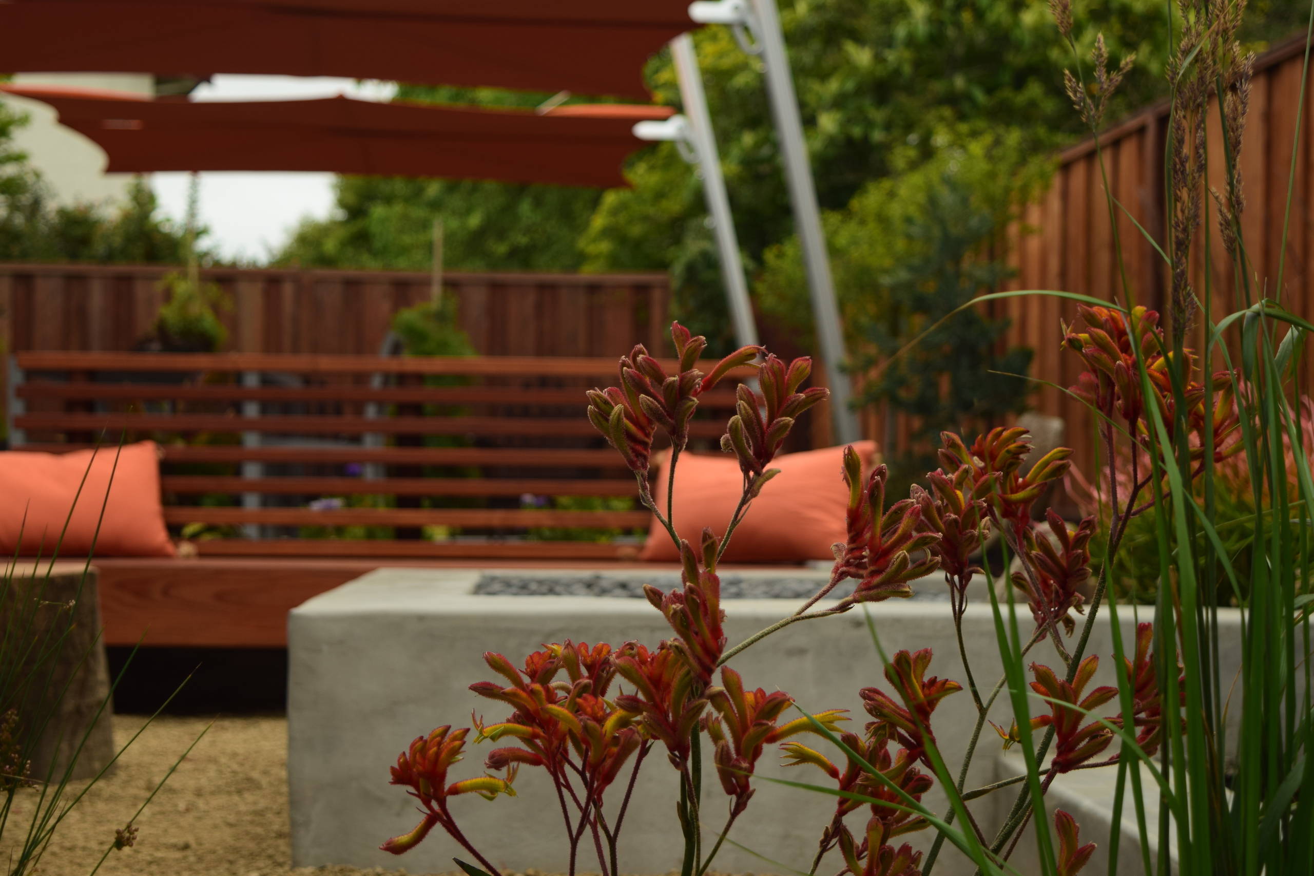 Fremont Residence