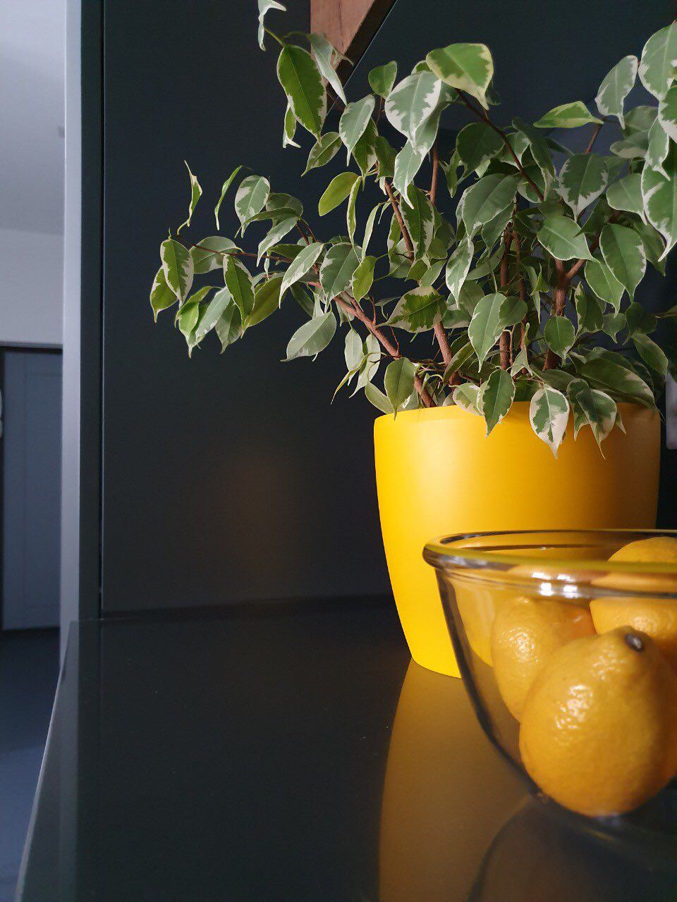 Квартира в Отраде