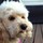 holly_miller4527836