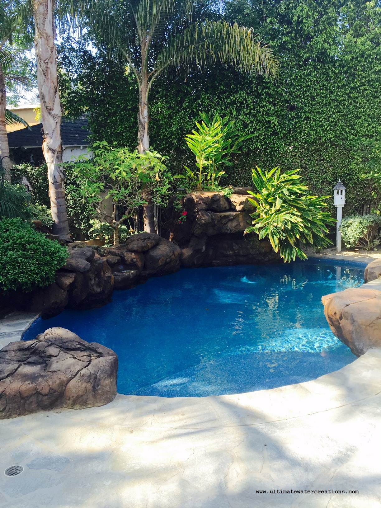 Brentwood Naturalistic Pool & Spa with Waterfalss