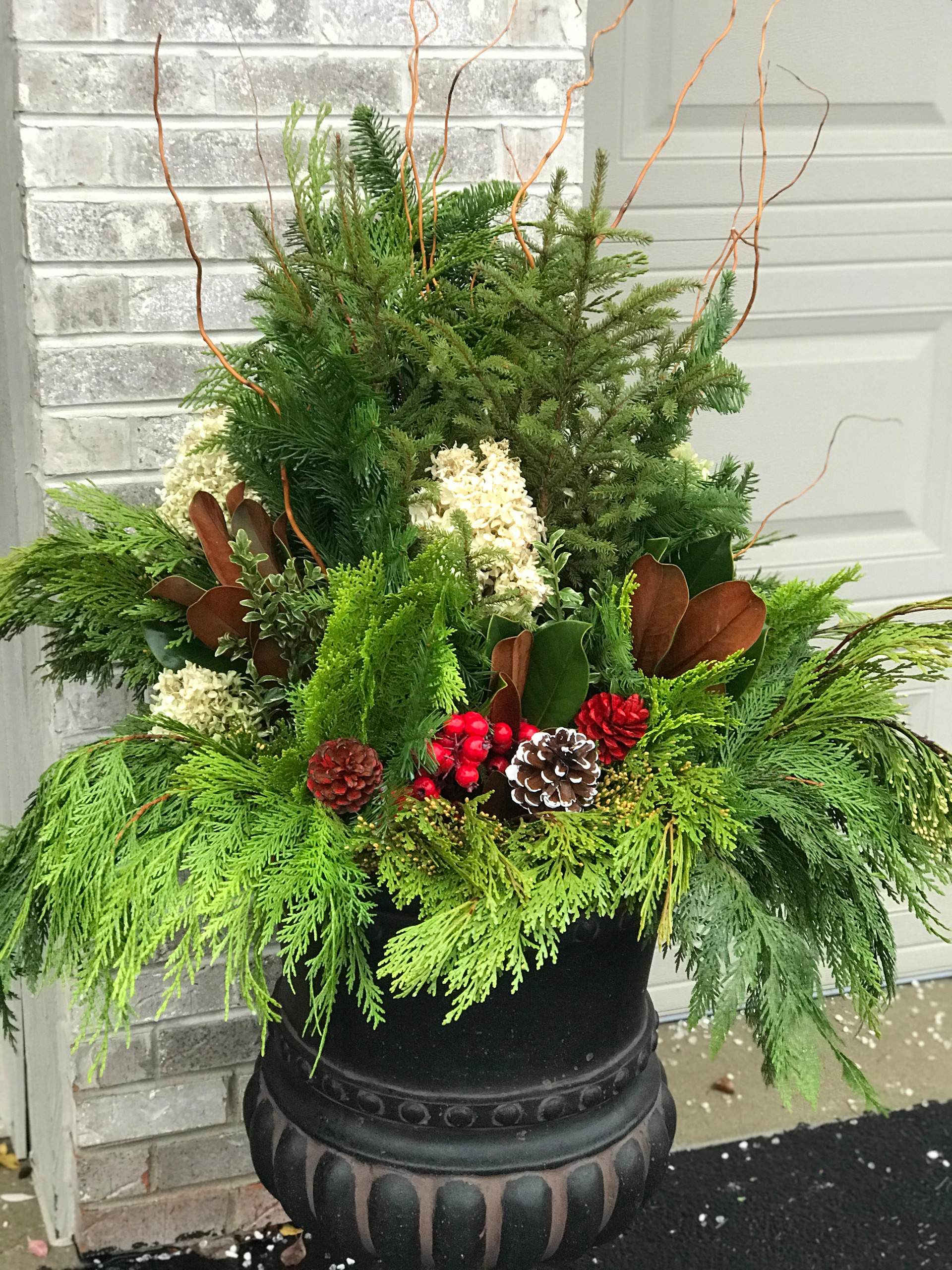Winter containers and Holiday Decorations