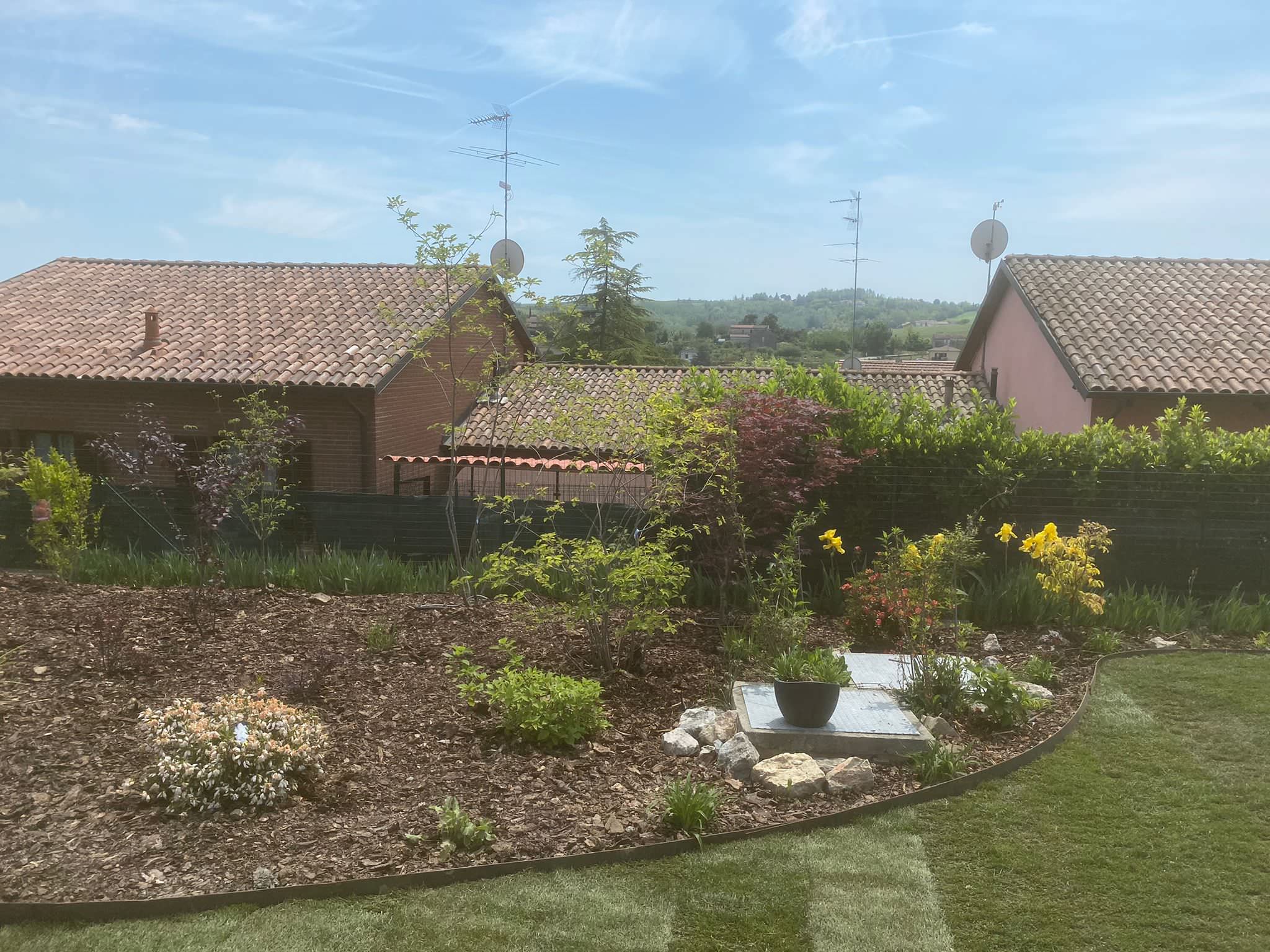 Realizzazione Le colline in fiore