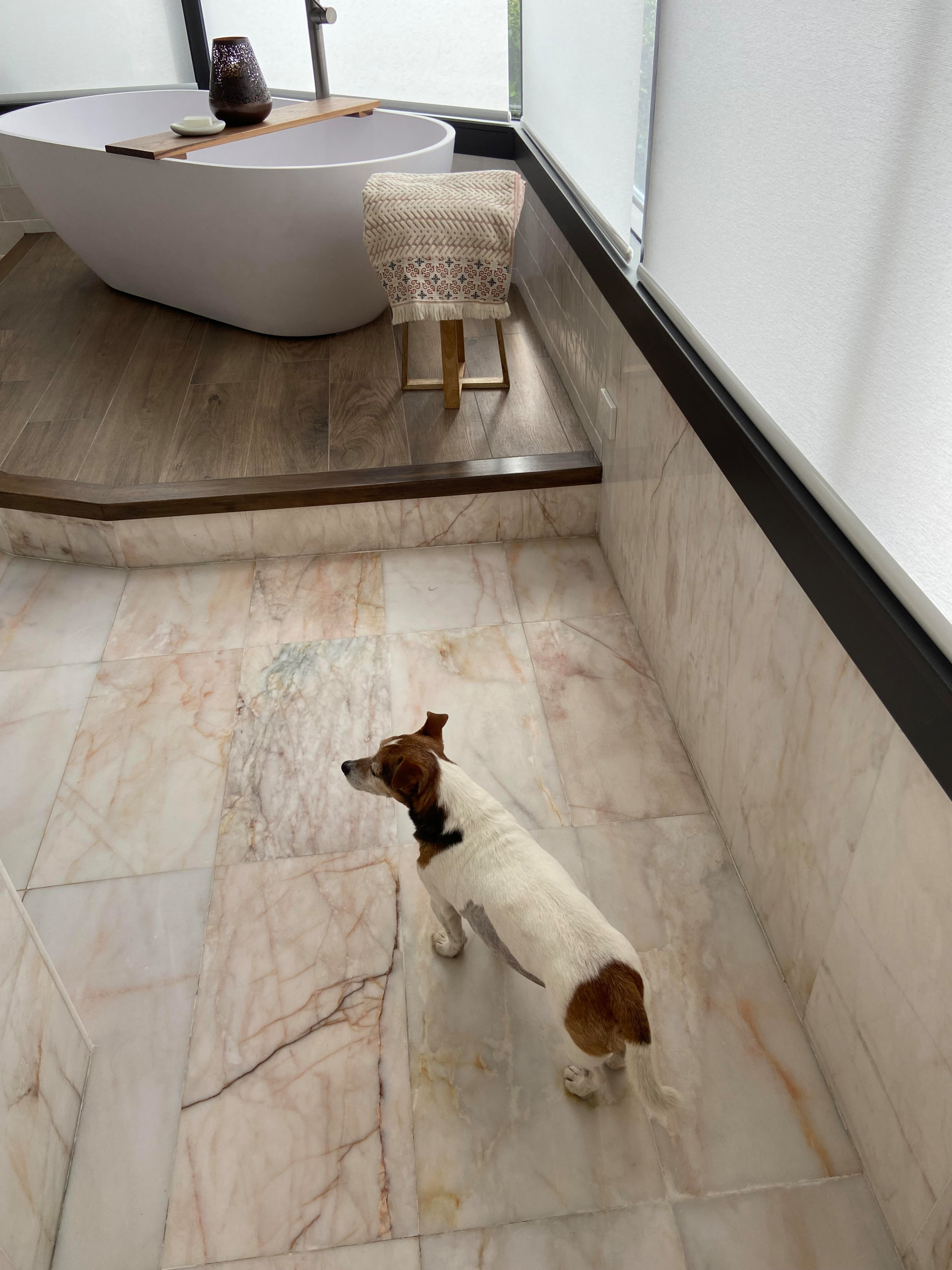 REBUILD OF A GRAND  BATHROOM