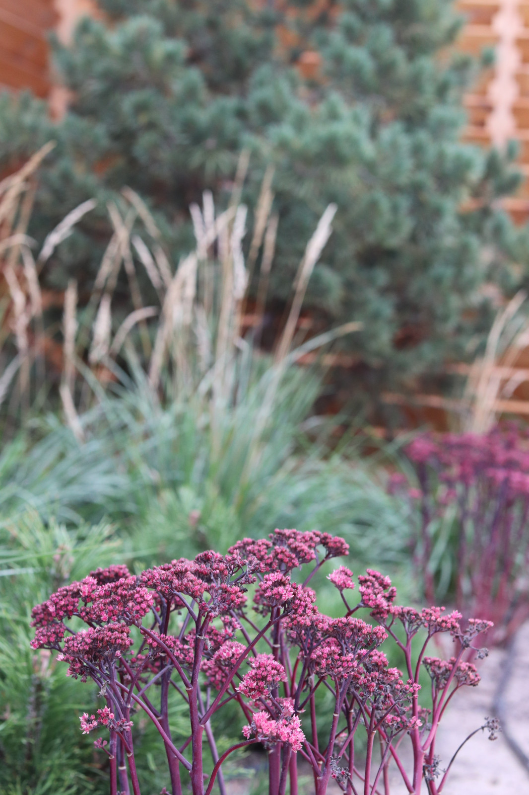 Айдаровский ручей