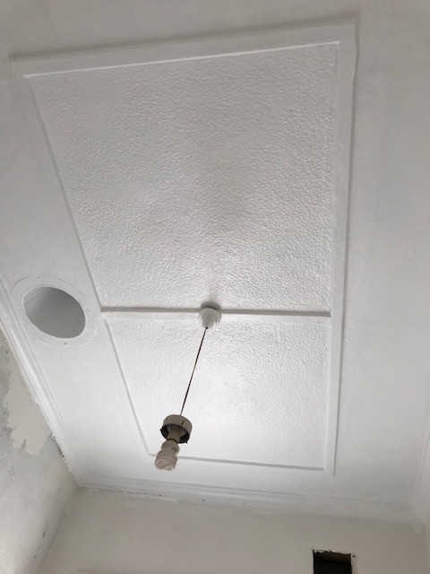 Ceiling Restoration
