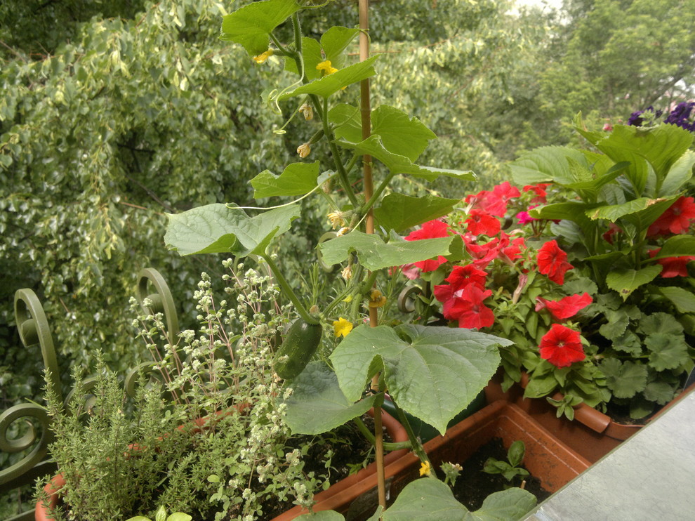 Балкон Уланский