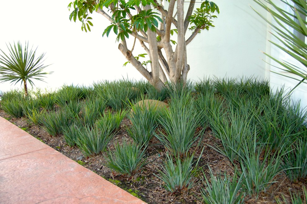 Photo of a mid-sized contemporary front yard partial sun formal garden in San Diego with a container garden and natural stone pavers.