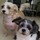 joanne_mcintosh95