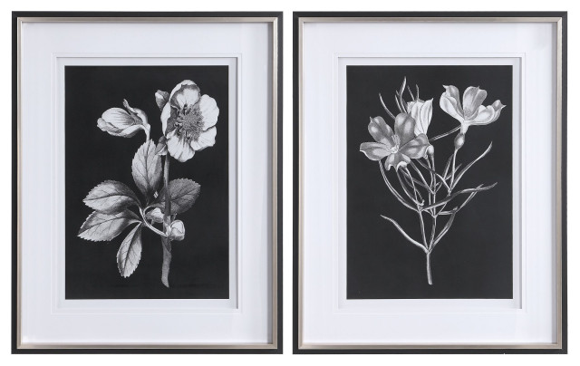 Black and White Flowers Botanical Framed Artwork Prints, 2-Piece Set