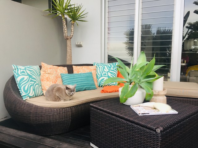 Narrabeen coastal-deck