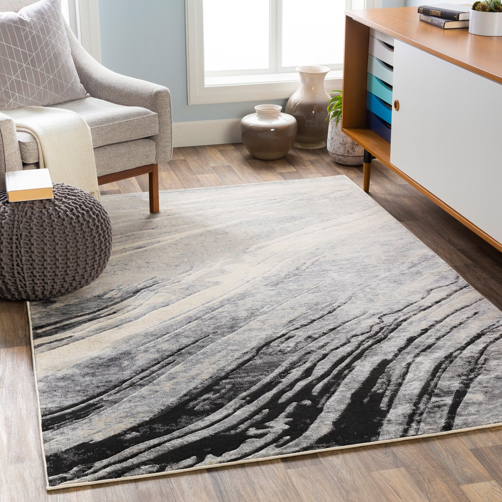 Continuity 2388 Area Rug Contemporary Area Rugs By Surya