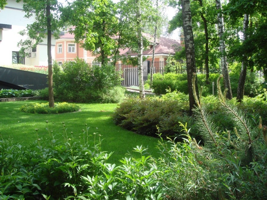 Рублево-Успенское шоссе. 55 соток.