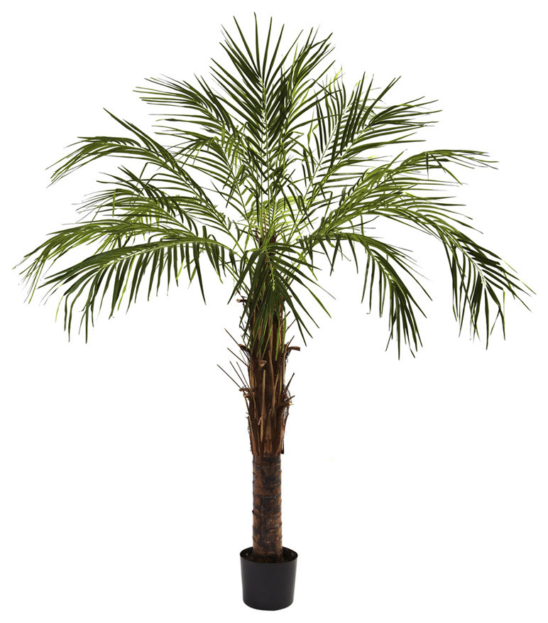 Nearly Natural 6' Robellini Palm Tree