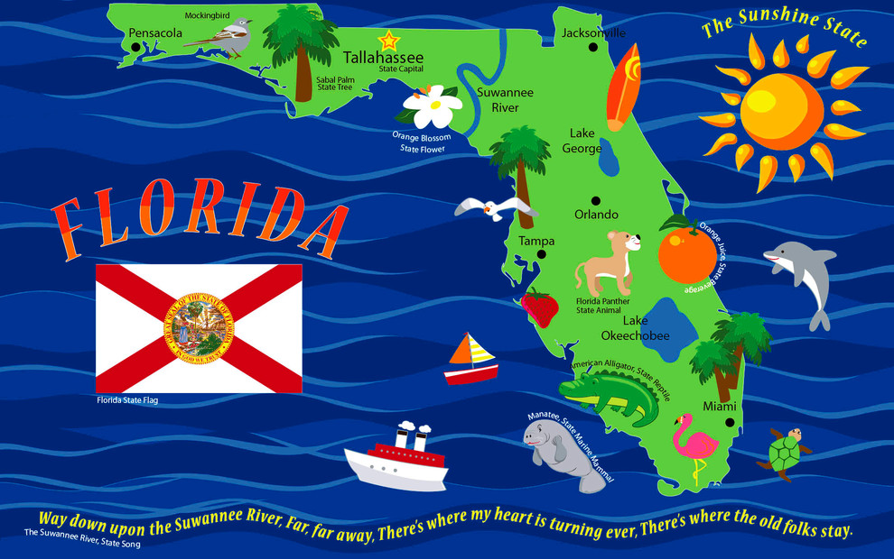 Map Of Florida Rug Tropical Kids Rugs By Kidcarpet Houzz