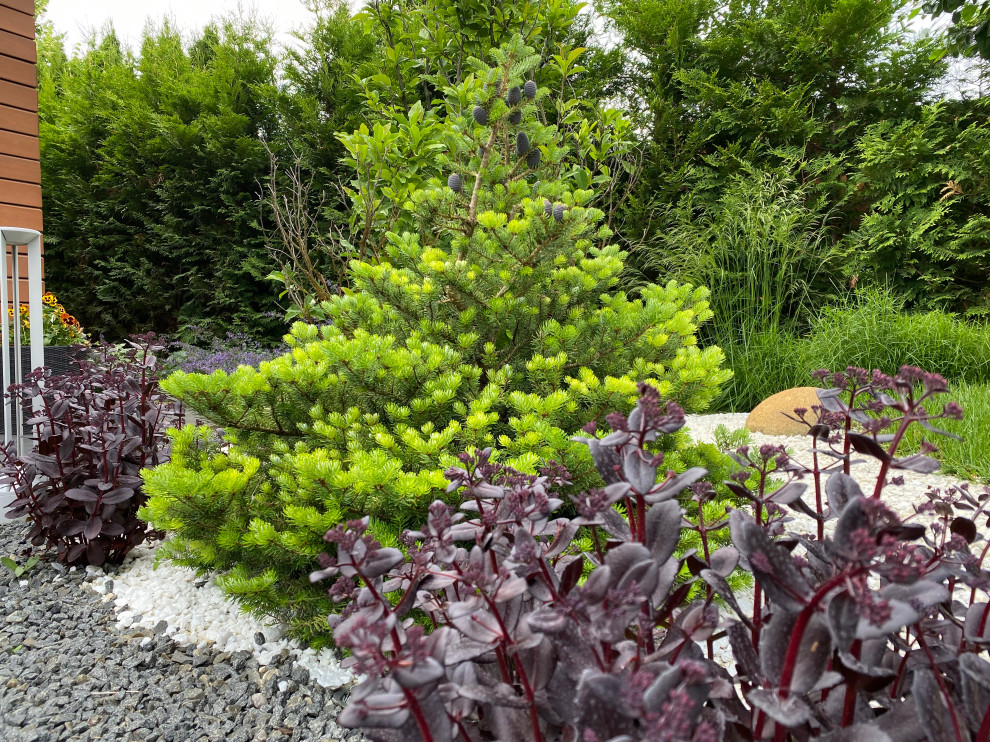 КП Пестово "Evergreen'