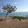 julien_bray
