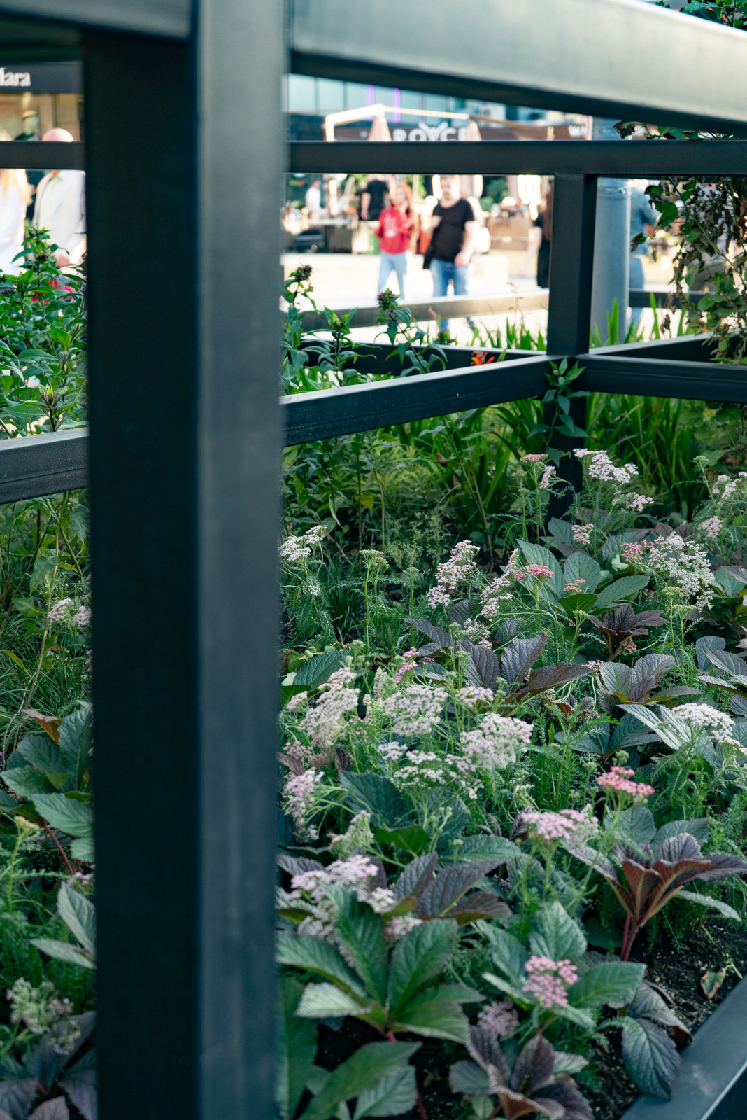 Архитектура природы