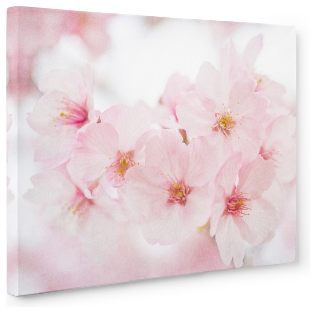 Pink Flower Canvas Wall Art Cherry Blossom Asian Prints And Posters By Offley Green