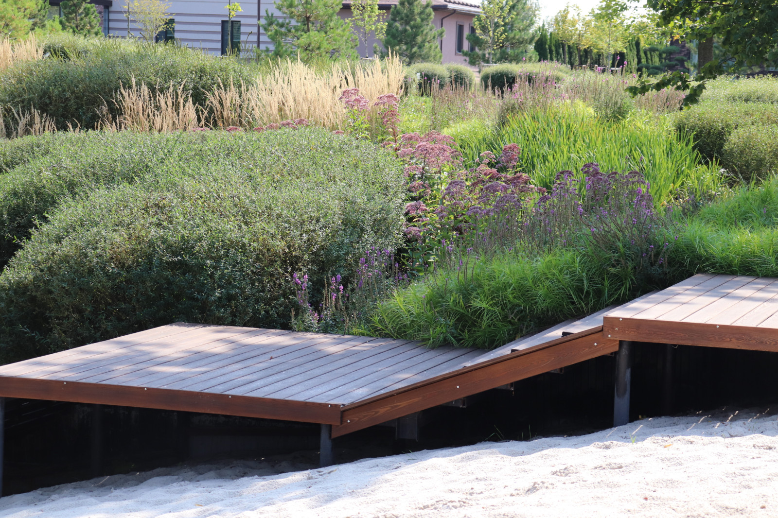 WB Берег пруда (август)