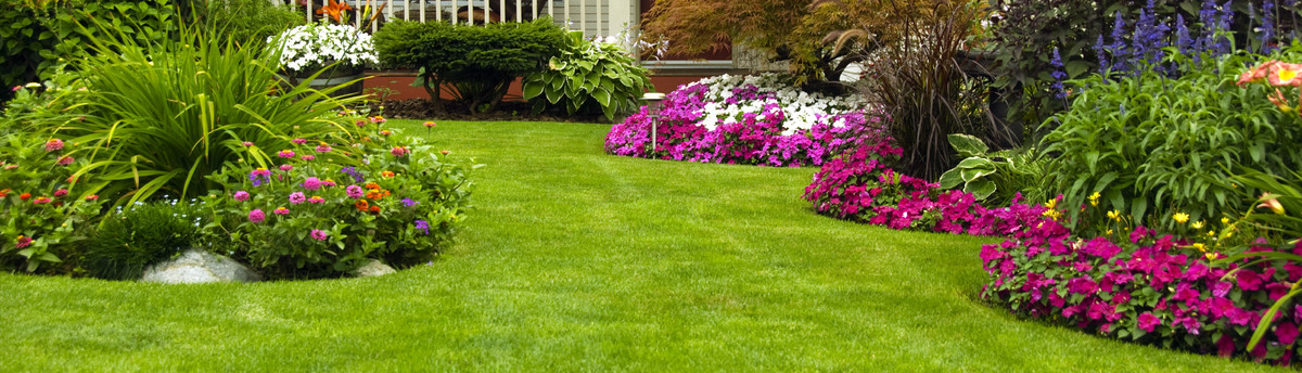 Green Side Up Landscaping - Franklin, TN, US - Green Side Up Landscaping - Franklin, TN, US