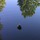 kelly_4636