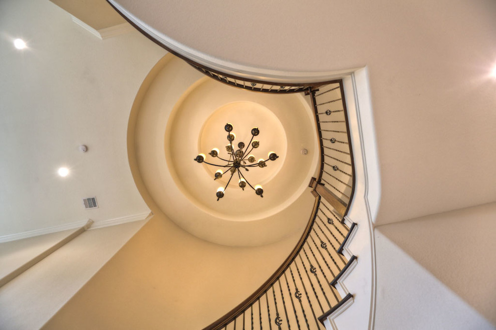 Home design - transitional home design idea in Houston