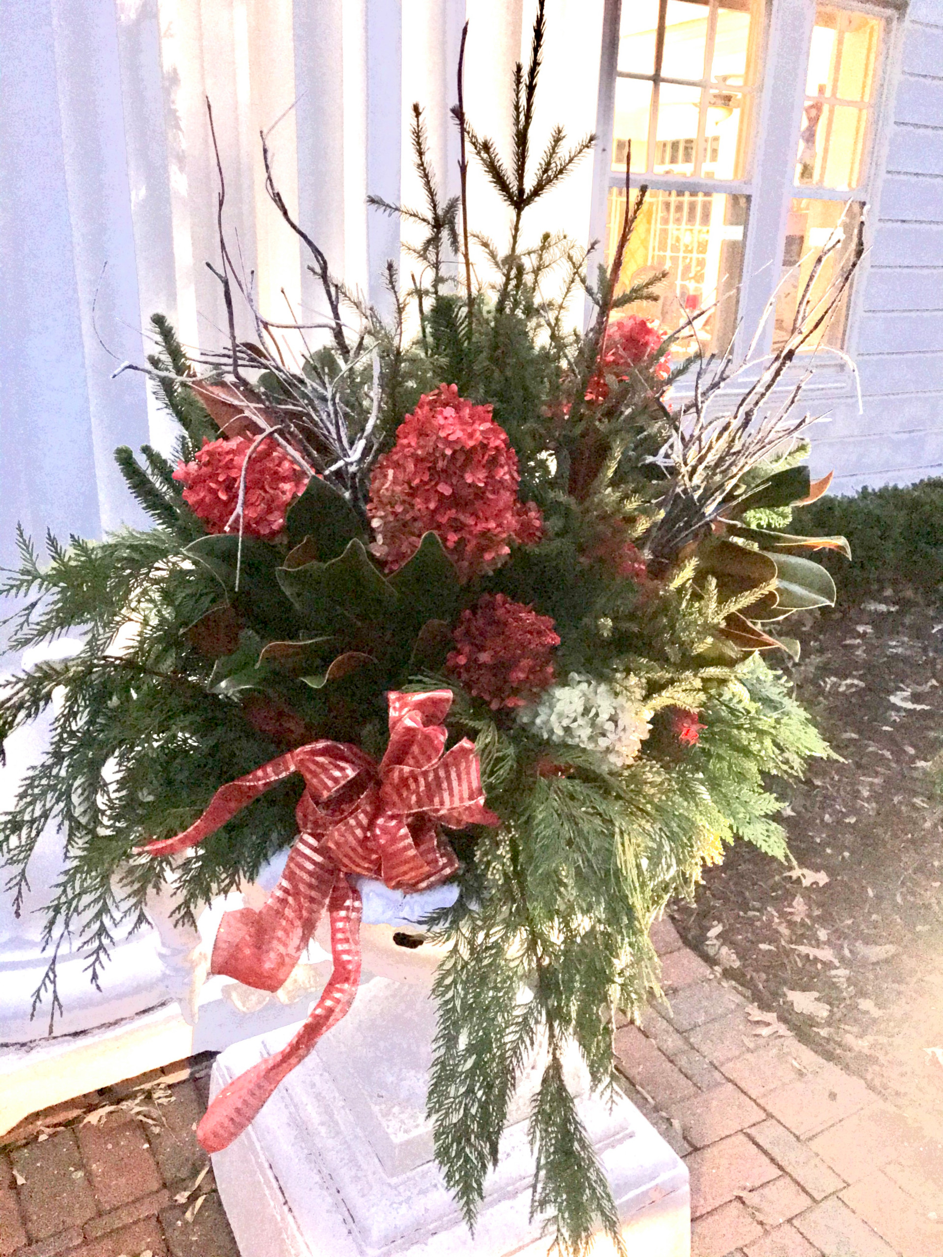 Winter containers and Holiday Decorations