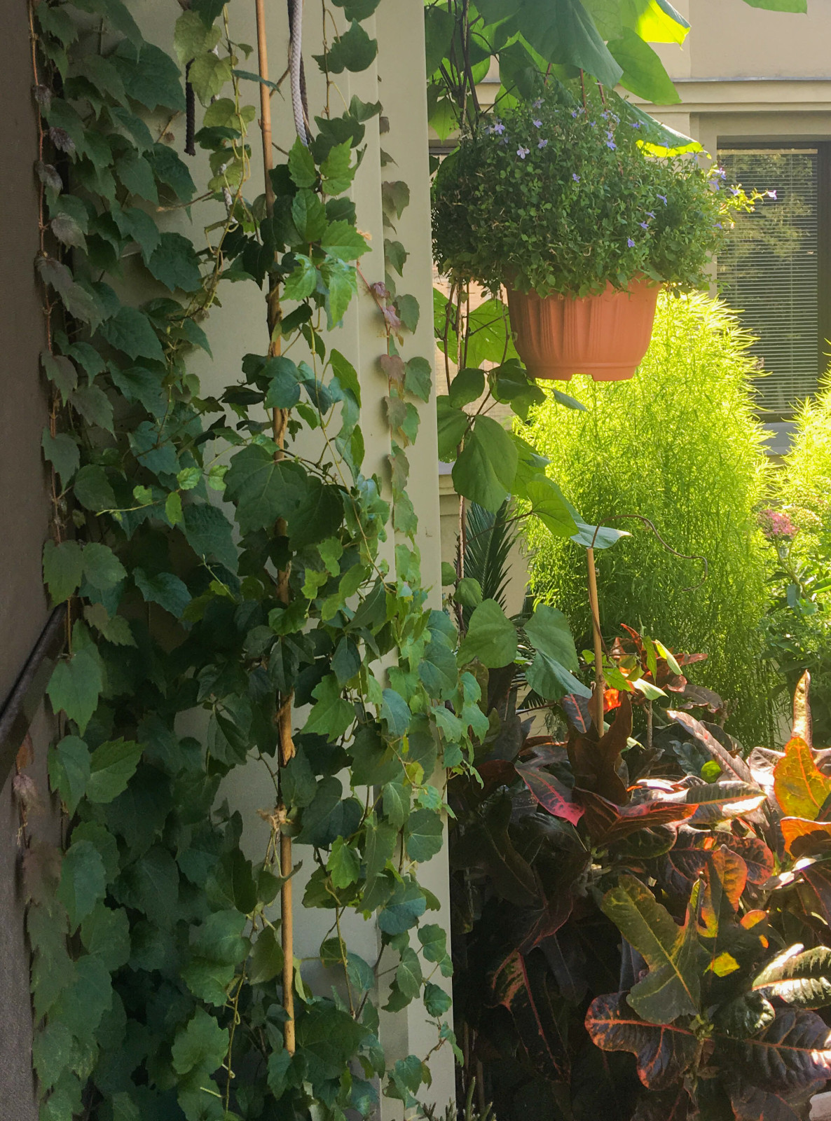 6_Балкон Уланский