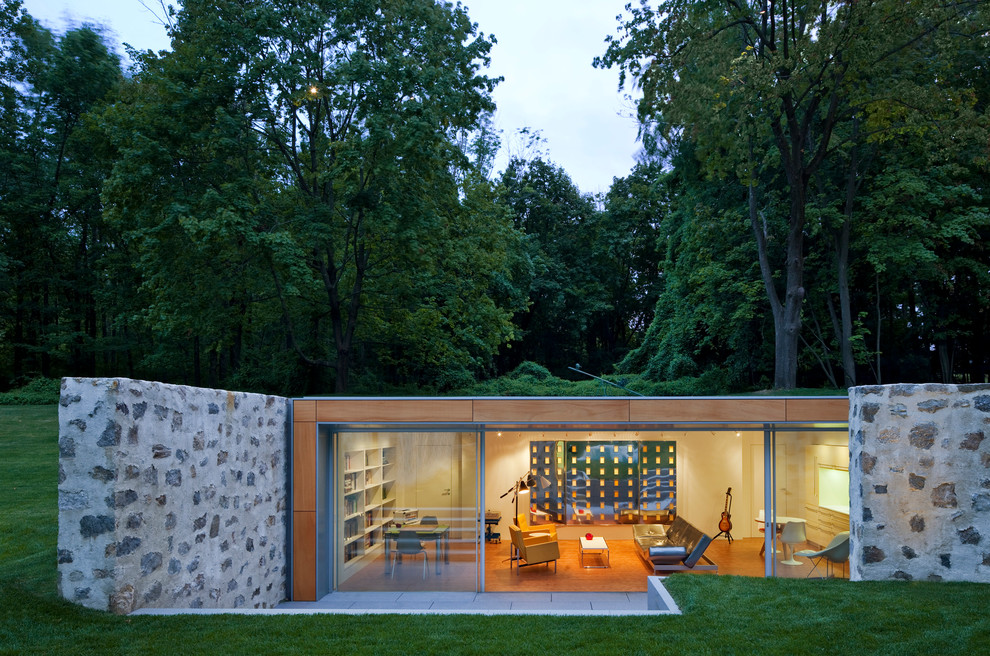 Design ideas for a modern one-storey exterior.