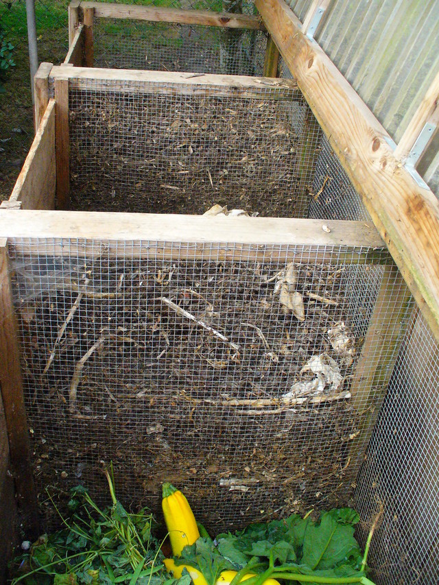 please help me find a location for my compost bin (with video)