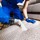 SRU Carpet Cleaning & Water Damage Restoration of
