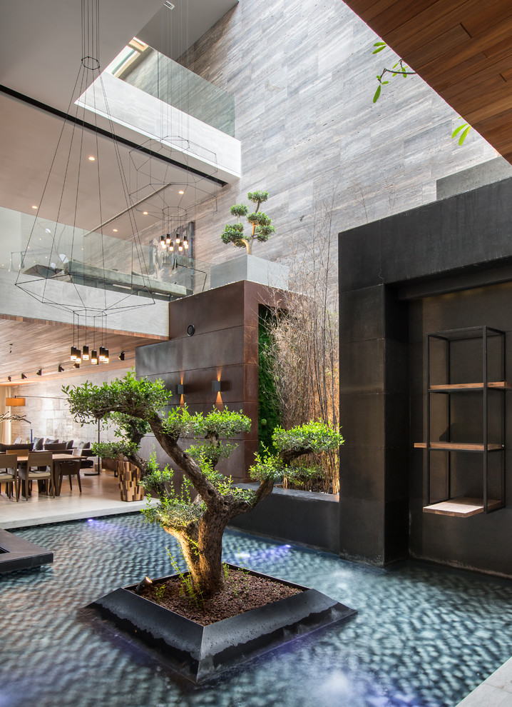 Design ideas for a contemporary Courtyard garden.