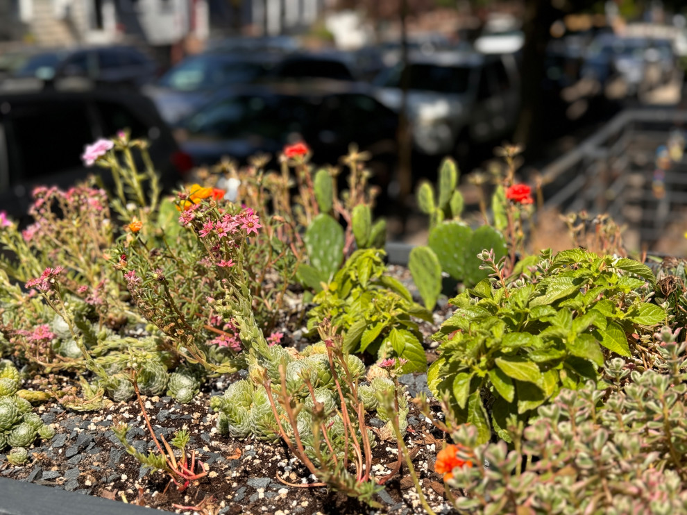 Greenwood front and back yard