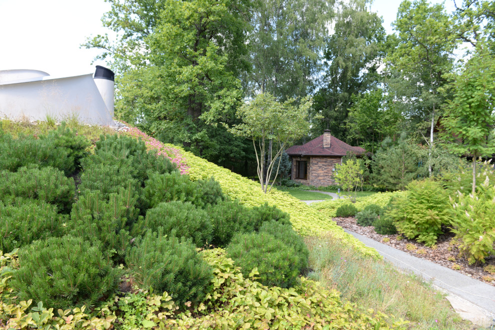 Бионический дом