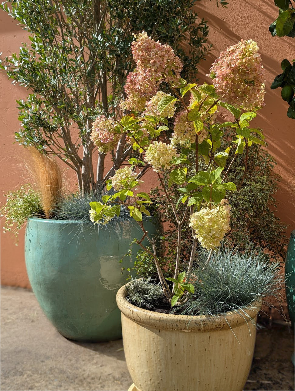 Un patio méditerranéen accueillant