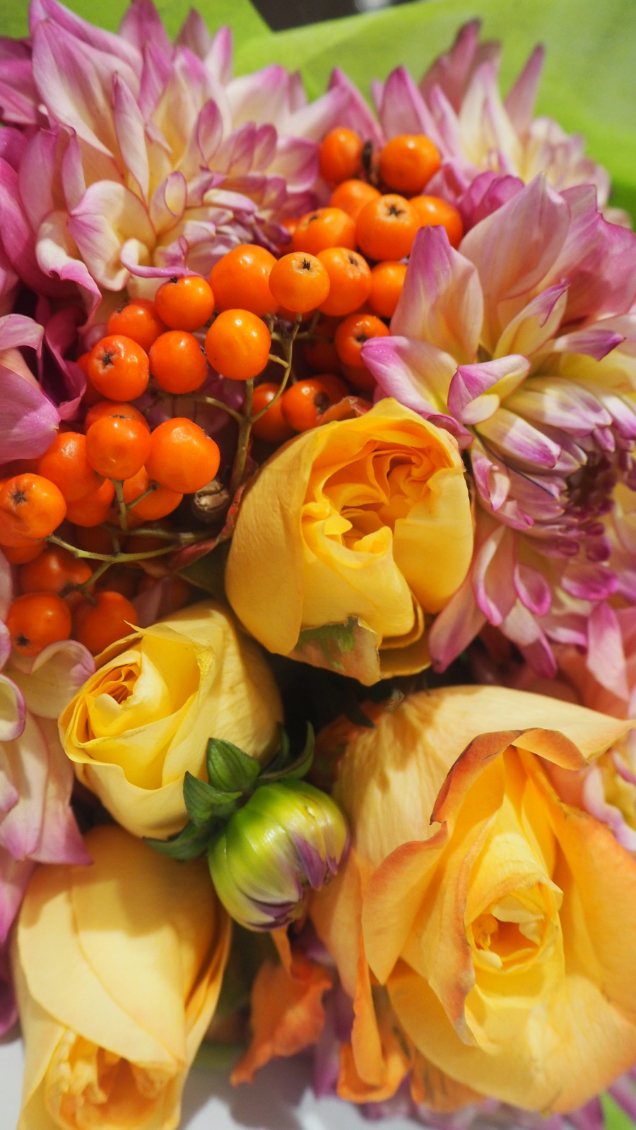 День рождения