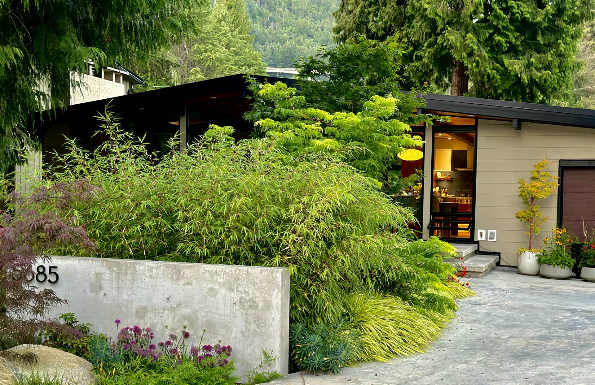 Mid Century Modernized