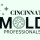 Mold Removal in Cincinnati Solutions