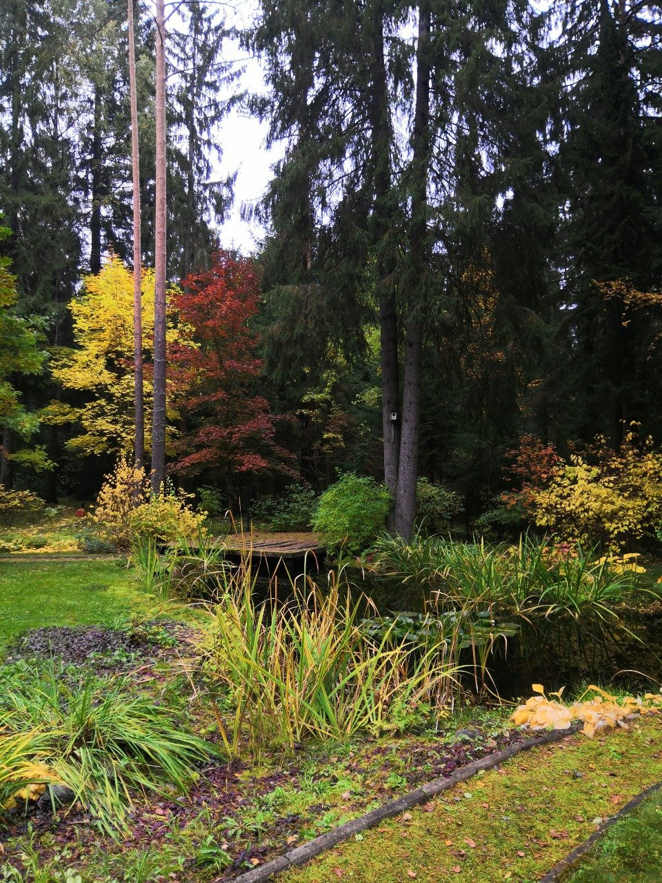 Романтический сад в пейзажном стиле