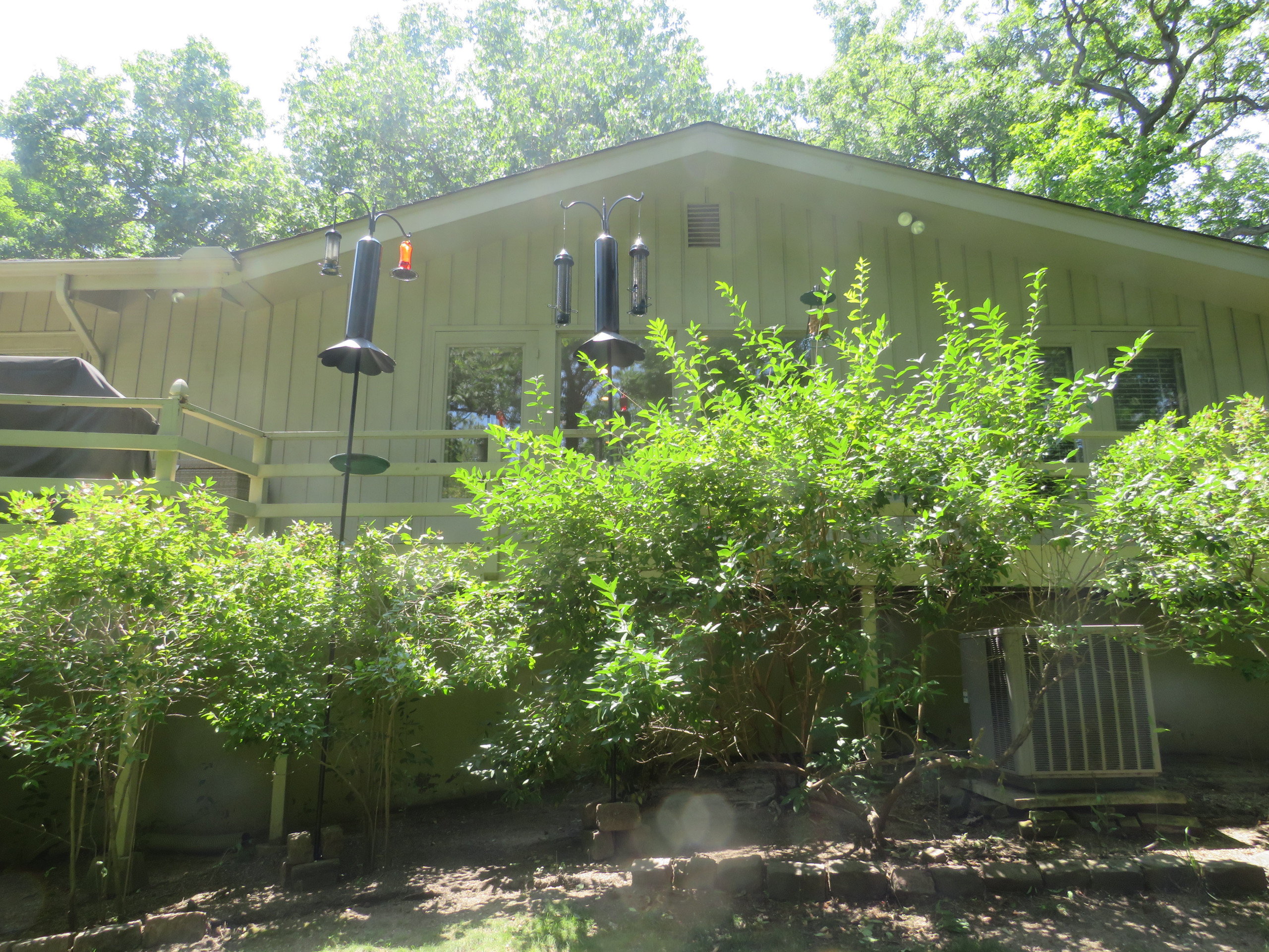 Mid-Century Ranch Landscape - Lake Forest, IL