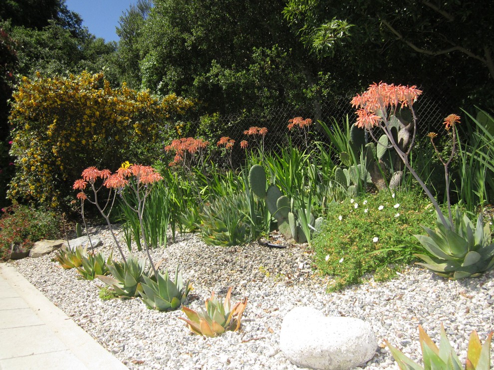 Design ideas for a large traditional backyard full sun xeriscape for spring in Los Angeles with gravel and a garden path.