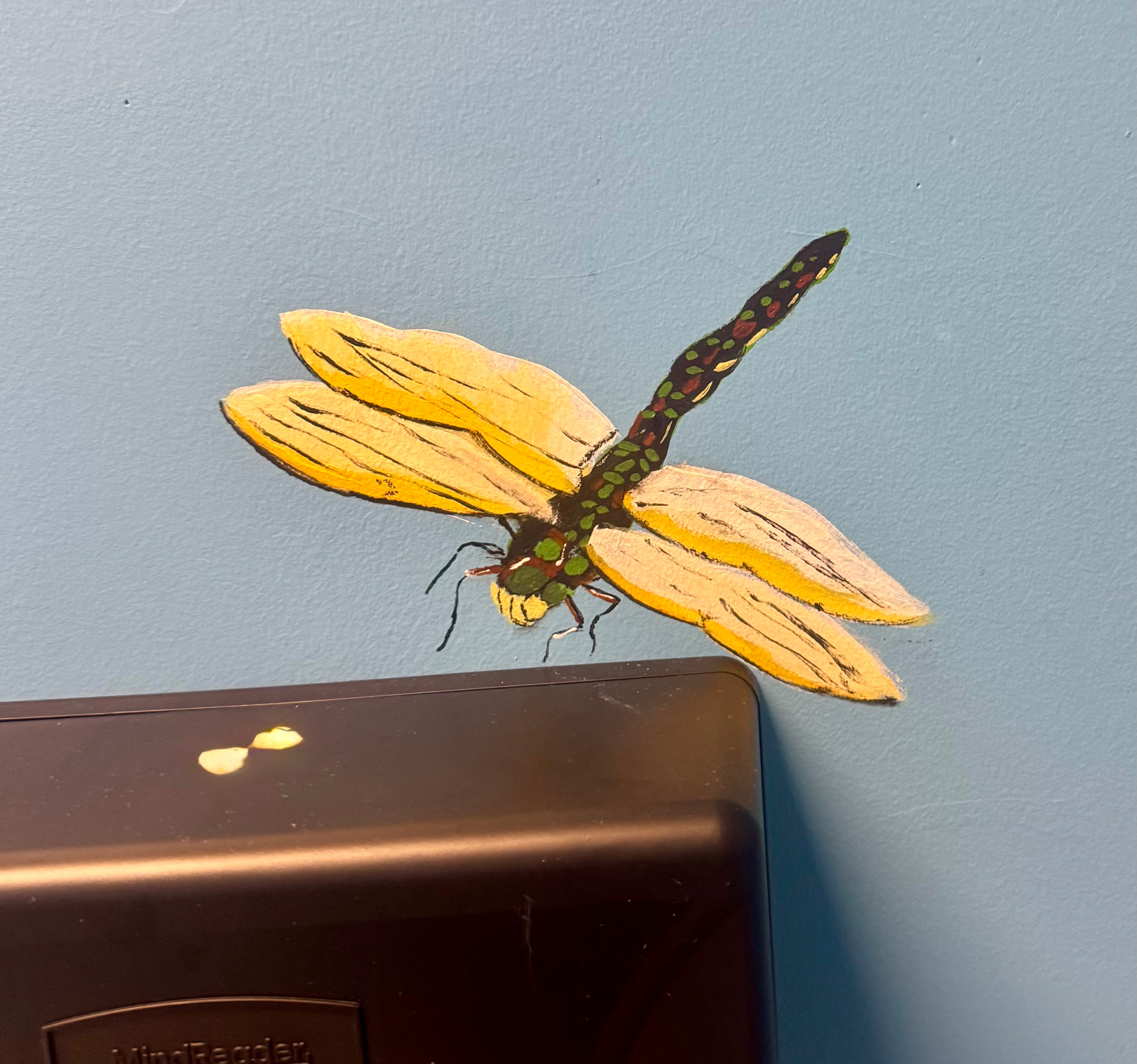 Murals and Decorative Painting