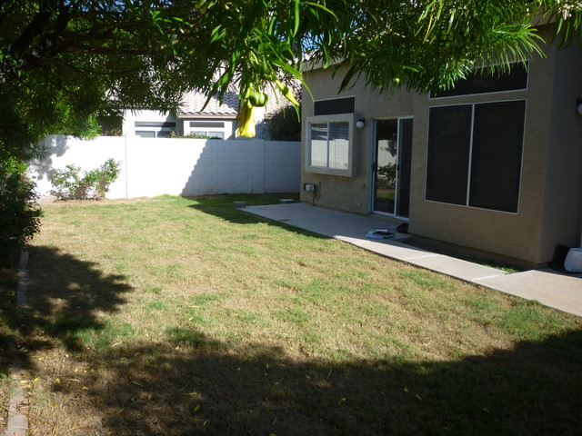 Before - Backyard 