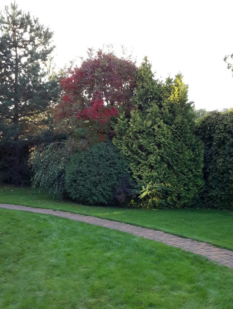 Древесная группа, в которой солирует рябина сорта Додонг.