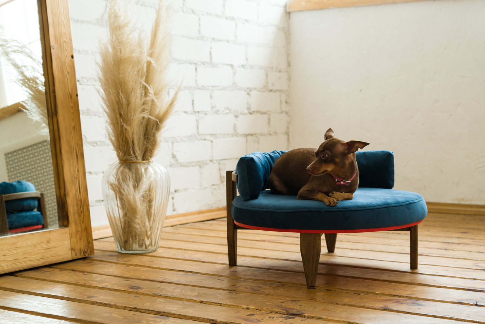 Диван BRIE для собак и кошек