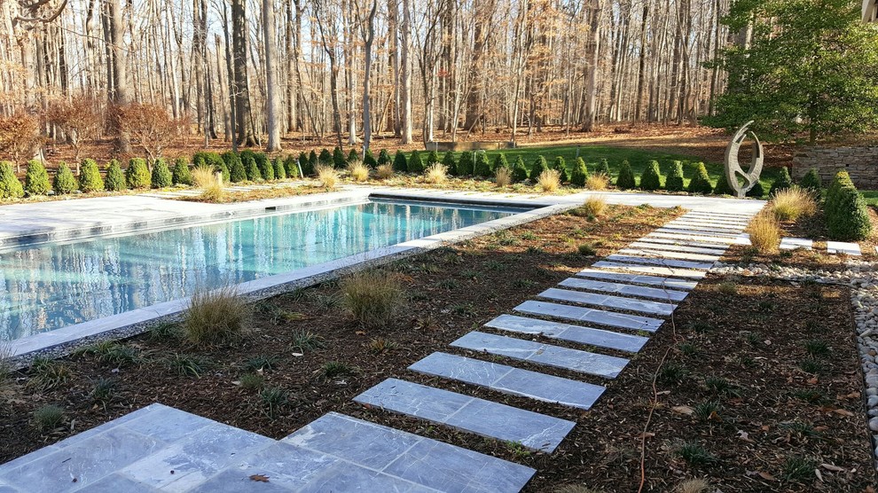 Example of a large transitional backyard stone and rectangular lap pool design in Baltimore