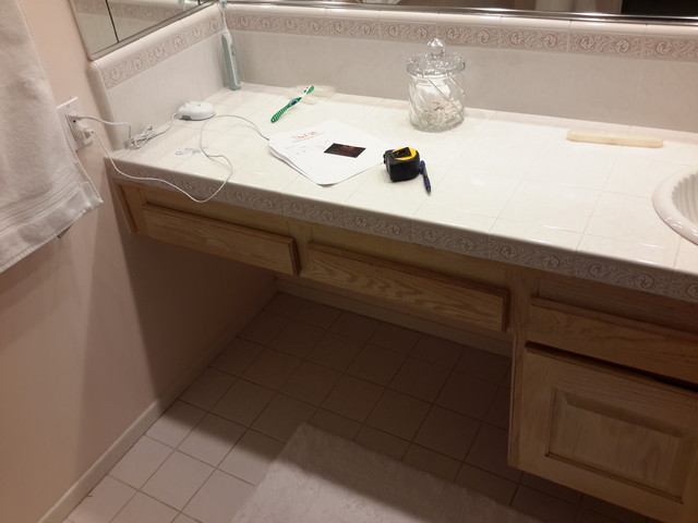 PINGEL PROJECT transitional